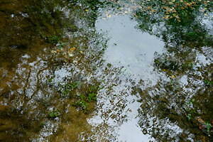 エミ(emmi) 2023-24年秋冬ウィメンズコレクション  - 写真63