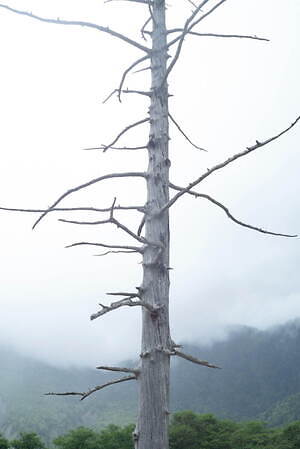 エミ(emmi) 2023-24年秋冬ウィメンズコレクション  - 写真85