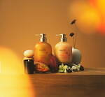 メルト sweet melt collection カカオフレグランス w300_pqQ.jpg