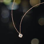 ヨンドシー(4℃) 海辺の夜景｜写真9