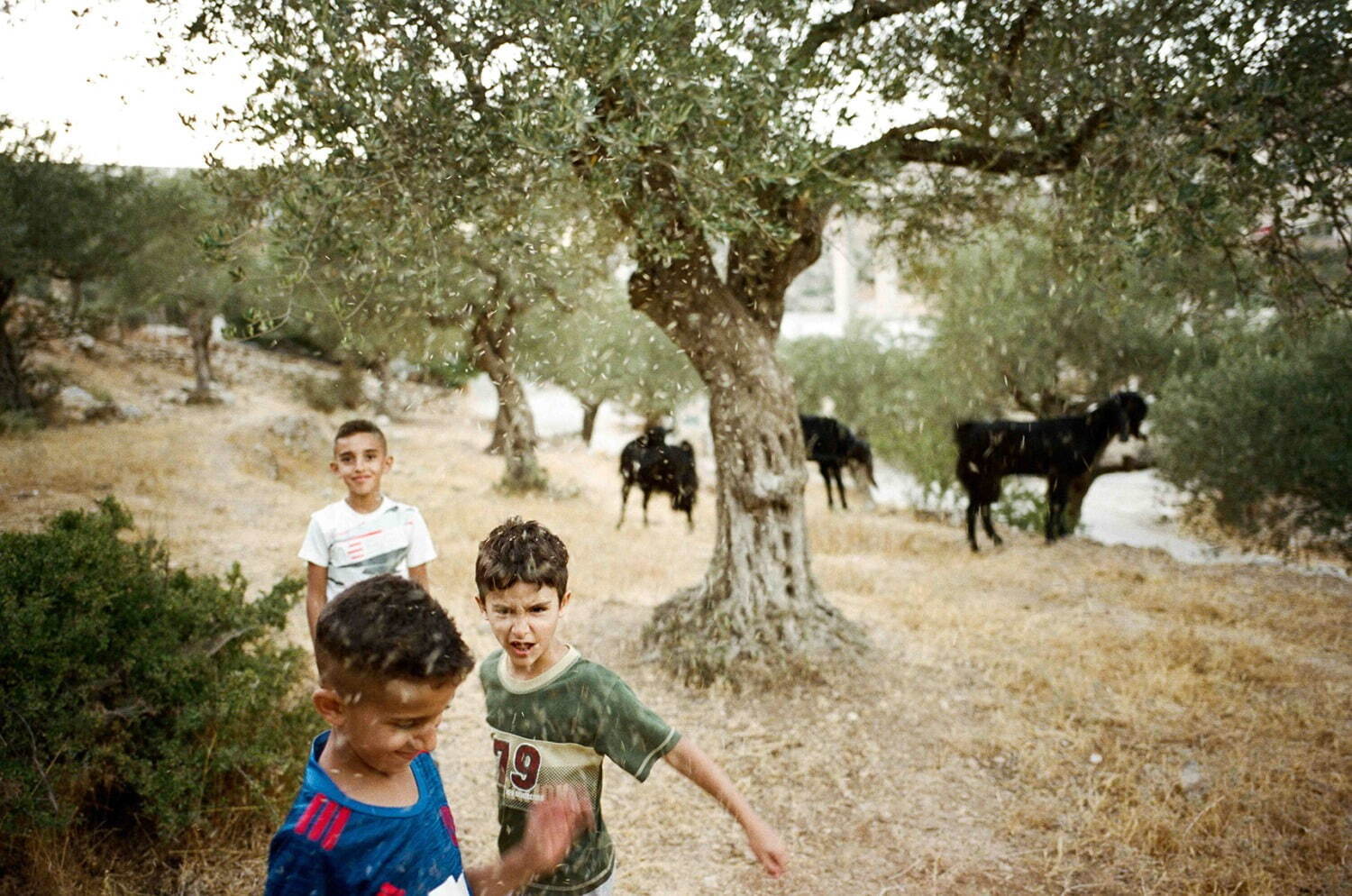 「KYOTOGRAPHIE 2025 京都国際写真祭」世界10カ国のアーティストが京都市内で作品展示｜写真22