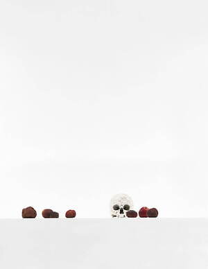 「KYOTOGRAPHIE 2025 京都国際写真祭」世界10カ国のアーティストが京都市内で作品展示｜写真27