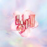 クラランス(CLARINS) 満開の桜｜写真1