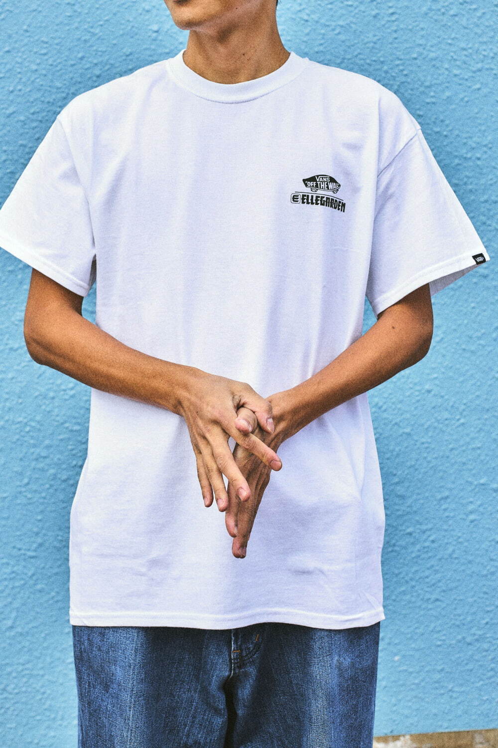 VANS×エルレガーデンのスニーカー、バンドカラーを落とし込んだ