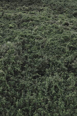 ブラームス(blurhms) 2025年春夏ウィメンズ&メンズコレクション  - 写真1