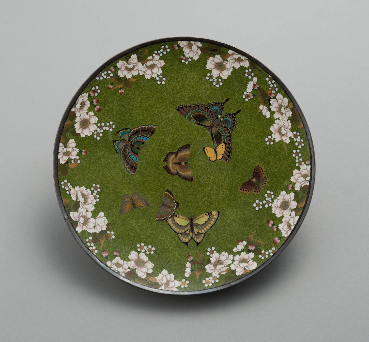 並河靖之 《桜蝶図平皿》 明治時代 京都国立近代美術館蔵
