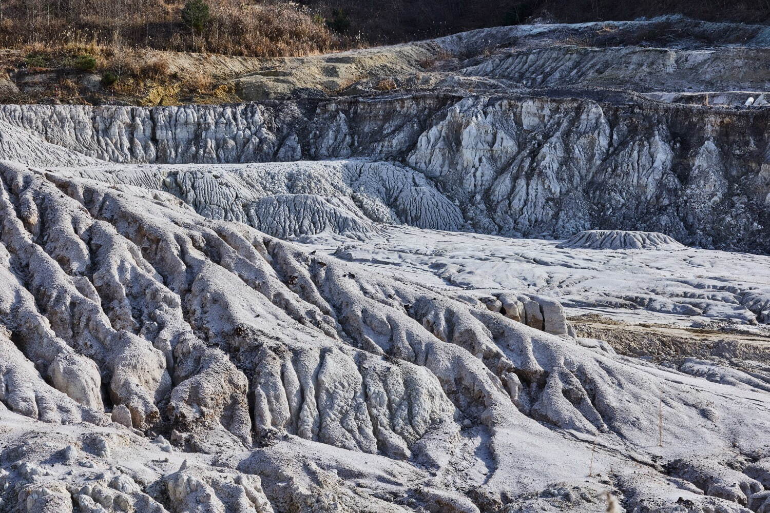 美濃焼“どんぶり”の企画展「ラーメンどんぶり展」ヒグチユウコや横尾忠則らデザインの丼が東京・六本木に｜写真17