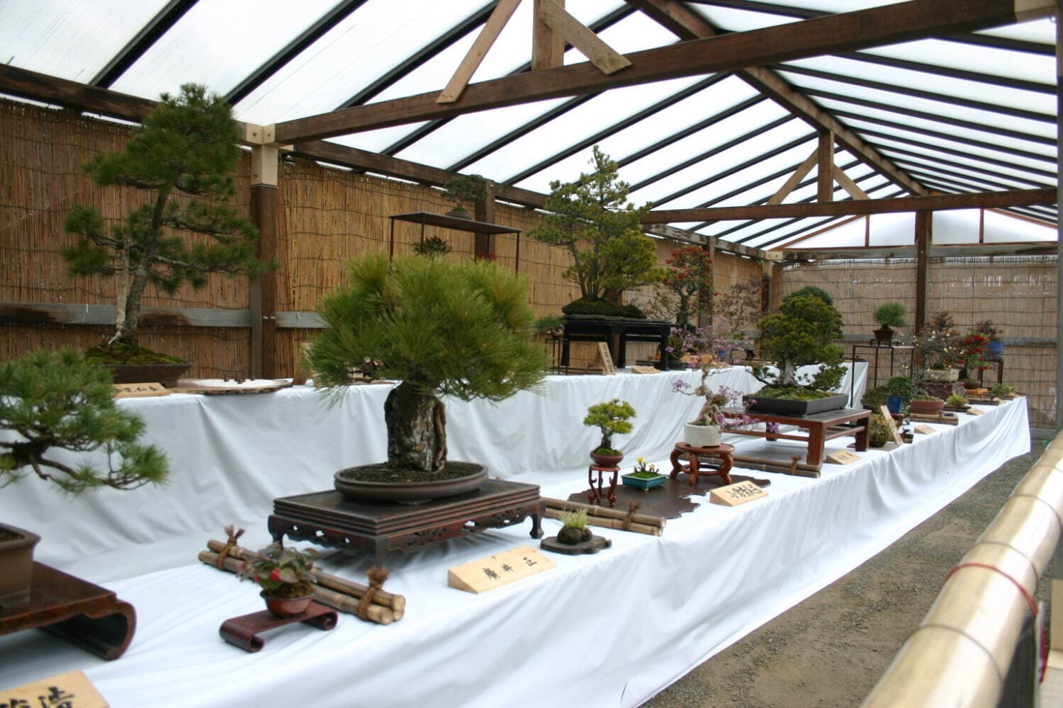 横浜・三渓園の文化サロン「鶴翔閣」新春特別公開、“琴”の演奏会など日本の伝統芸能も｜写真4