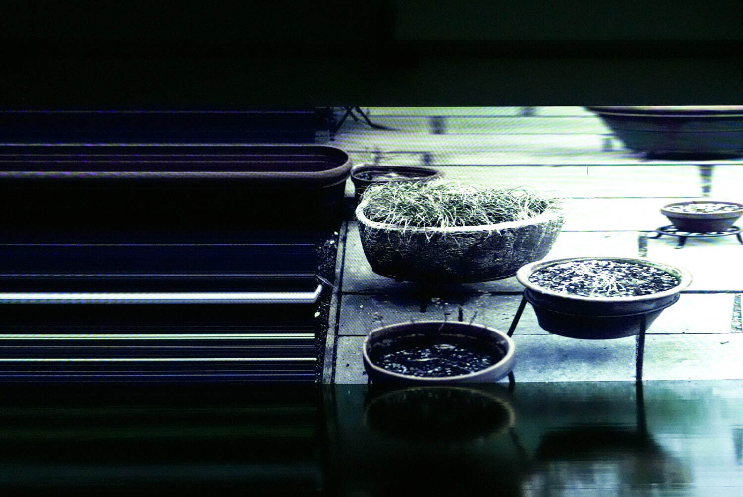 坂本龍一＋高谷史郎 《async-immersion tokyo》 2024年
企画展「坂本龍一｜音を視る 時を聴く」 東京都現代美術館 2024-25年 展示風景