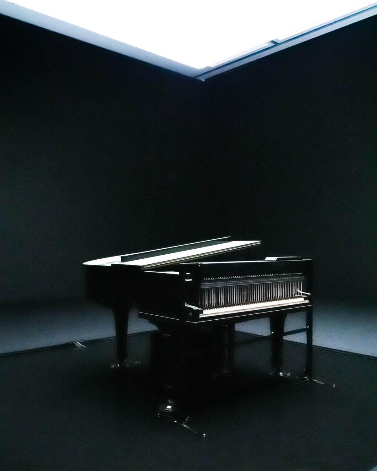 坂本龍一 with 高谷史郎 《IS YOUR TIME》 2017/2024年
企画展「坂本龍一｜音を視る 時を聴く」 東京都現代美術館 2024-25年 展示風景