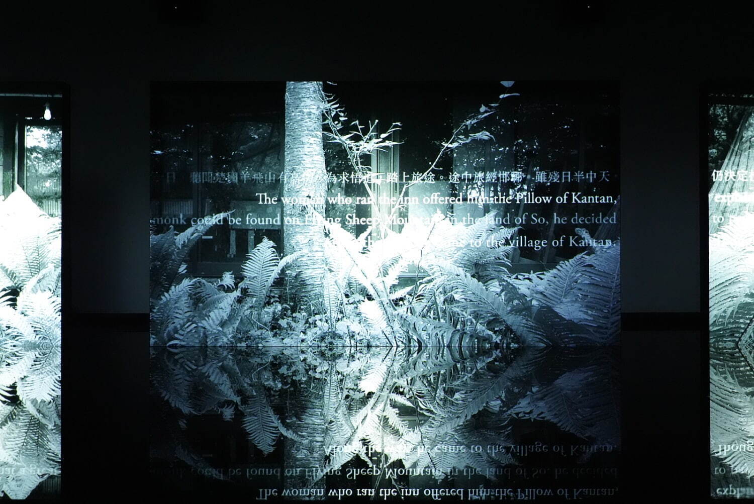 坂本龍一 | 音を視る 時を聴く | 展覧会 | 東京都現代美術館