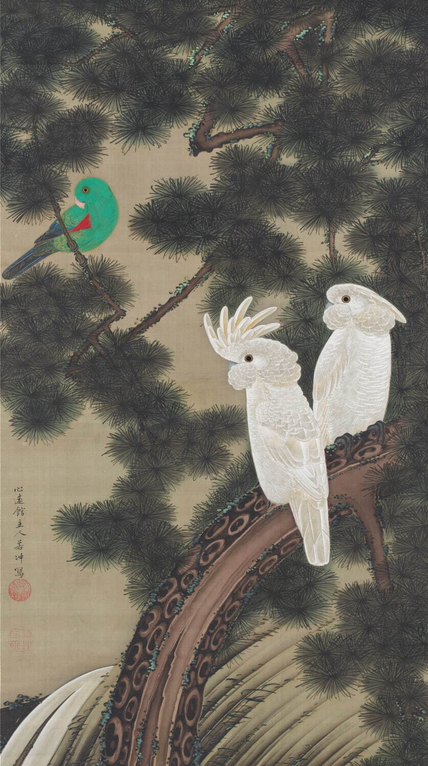 国宝 伊藤若冲 《動植綵絵 老松鸚鵡図》 江戸時代 18世紀 皇居三の丸尚蔵館収蔵
