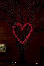 110万灯に彩られる、六本木けやき坂のイルミネーションが点灯！2つの“隠れハート”も｜写真8