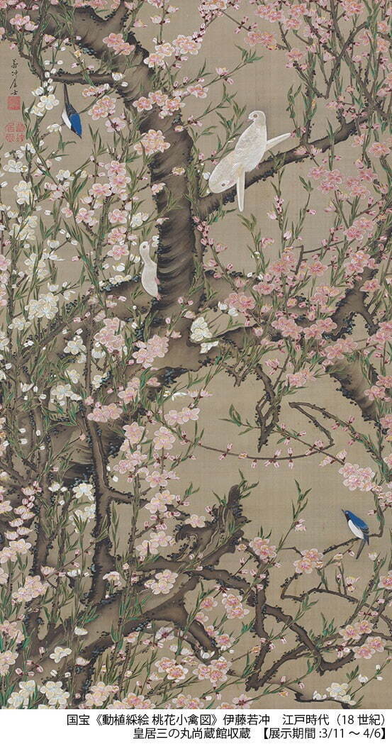 国宝 伊藤若冲 《動植綵絵 桃花小禽図》 江戸時代 18世紀 皇居三の丸尚蔵館収蔵 ［前期展示］