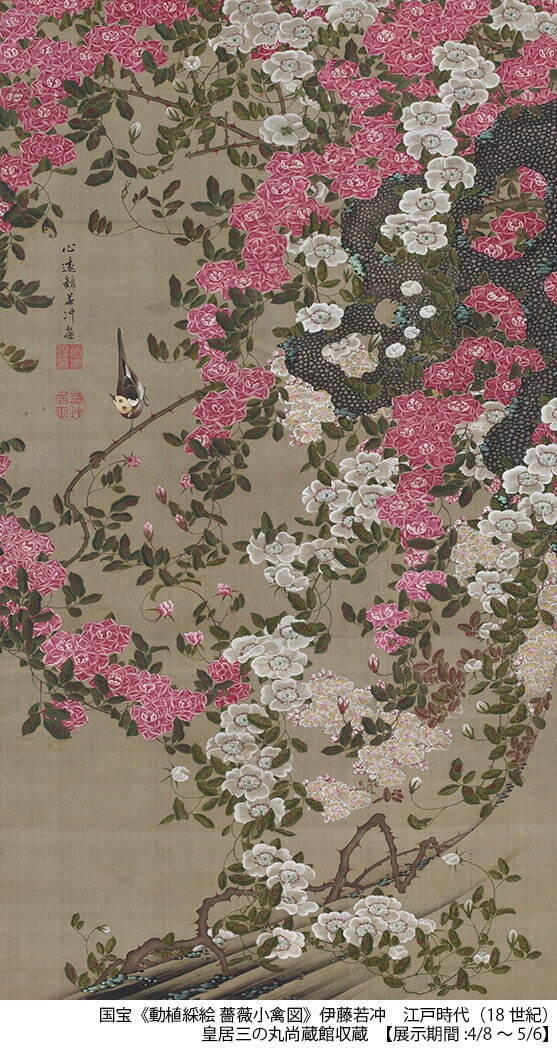 国宝 伊藤若冲 《動植綵絵 薔薇小禽図》 江戸時代 18世紀 皇居三の丸尚蔵館収蔵 ［後期展示］
