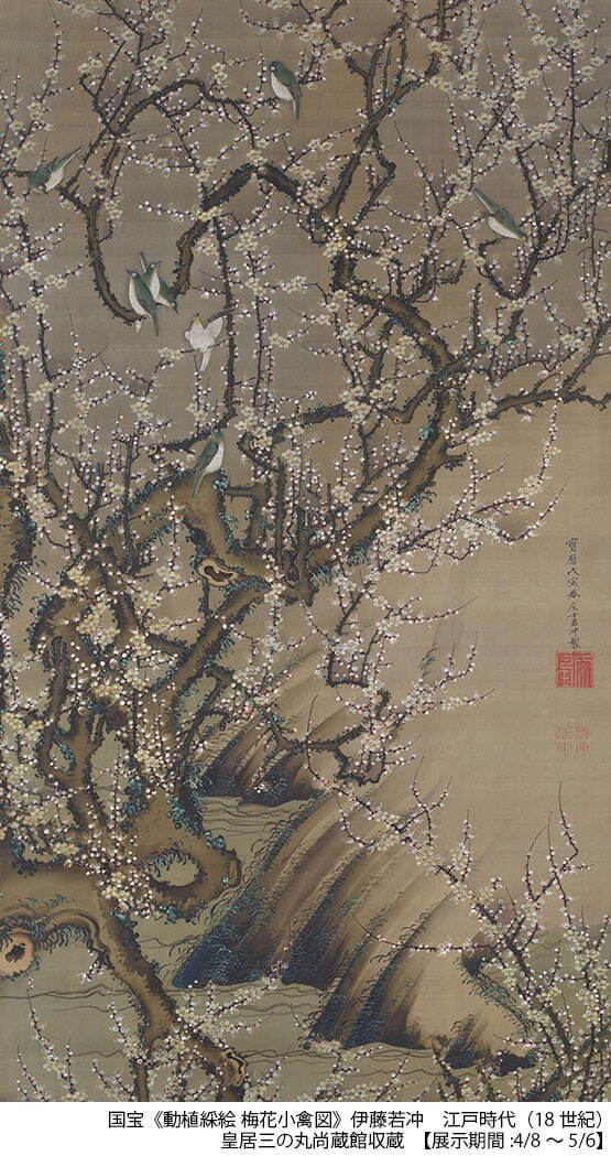 国宝 伊藤若冲 《動植綵絵 梅花小禽図》 江戸時代 18世紀 皇居三の丸尚蔵館収蔵 ［後期展示］