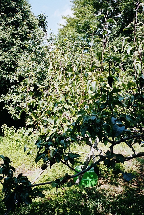 鷹野隆大 《2012.08.12.#b30》 「毎日写真」より 2012年
©Takano Ryudai, Courtesy of Yumiko Chiba Associates