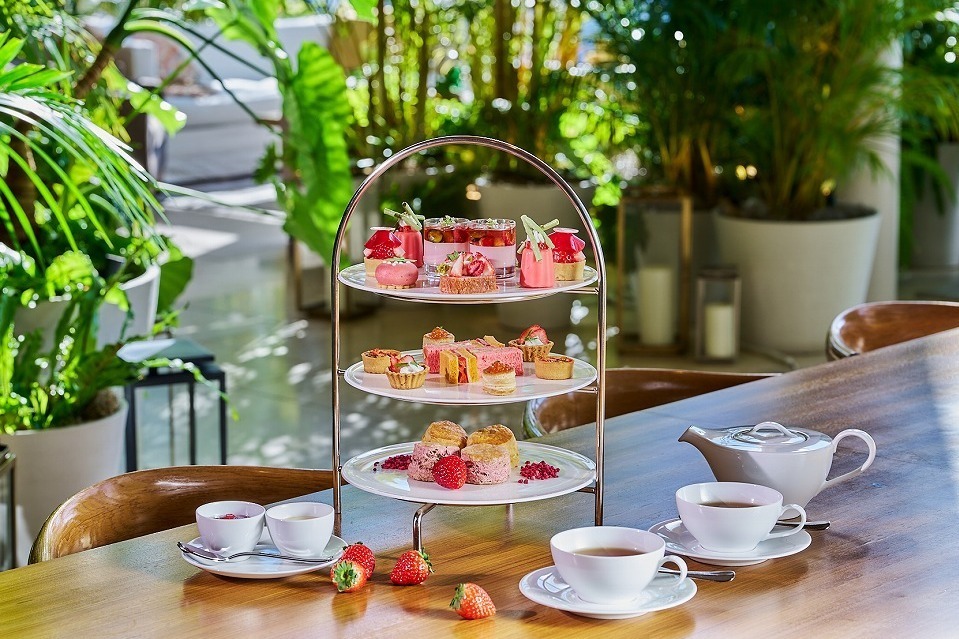 パンナコッタ｜東京エディション虎ノ門「いちご×お茶」アフタヌーンティー、“ほうじ茶香る”苺タルトや抹茶ムース