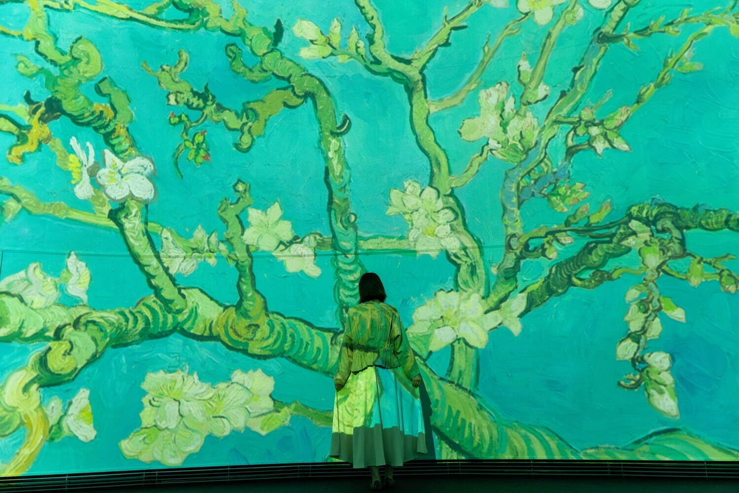 有楽町プラネタリアTOKYO「イマーシブ プラネタリウム ゴッホ」再延長上映、ゴッホの絵画世界に没入｜写真13