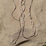 アガット25年春のパールジュエリー、ぽってりドロップ型チャームや“貝”浮かぶネックレス｜写真2