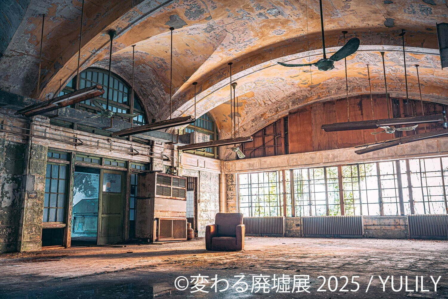 関東近郊おでかけイベント【2025年春】春休みの旅行や週末日帰り観光におすすめ、絶景スポットも｜写真23