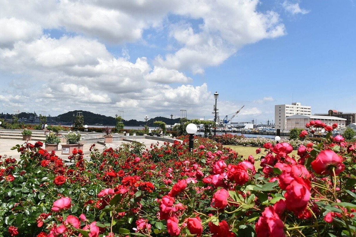 関東近郊おでかけイベント【2025年春】春休みの旅行や週末日帰り観光におすすめ、絶景スポットも