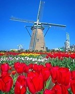 関東近郊おでかけイベント【2025年春】春休みの旅行や週末日帰り観光におすすめ、絶景スポットも｜写真38