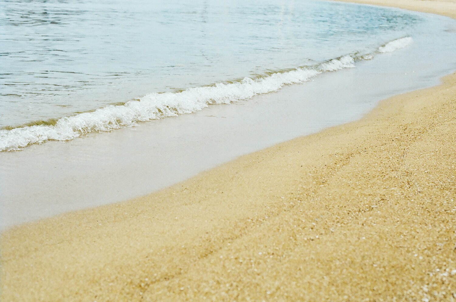 ヴウ(VU) 2025年春夏ウィメンズ&メンズコレクション  - 写真16