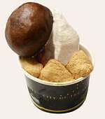 全国“アイスクリーム”が集まるGWイベント「あいぱく」東京で、ミルクソフト食べ比べやご当地アイス｜写真11