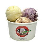 全国“アイスクリーム”が集まるGWイベント「あいぱく」東京で、ミルクソフト食べ比べやご当地アイス｜写真3