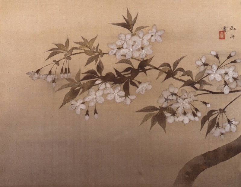 横山大観や川合玉堂ら“桜の日本画”一挙公開、特別展「桜 さくら