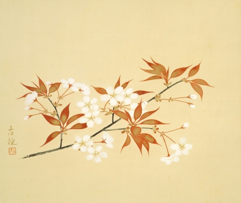 横山大観や川合玉堂ら“桜の日本画”一挙公開、特別展「桜 さくら