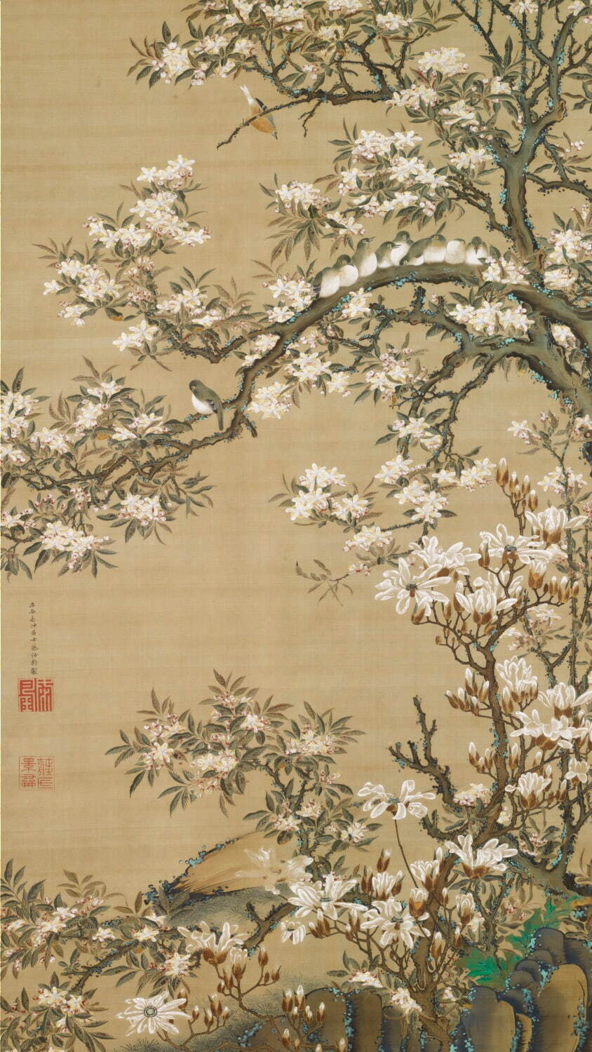 伊藤若冲 《海棠目白図》 江戸時代 18世紀 泉屋博古館