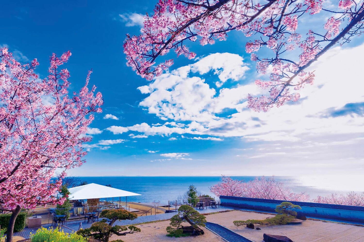 ワークショップ｜熱海のフラワーガーデン「アカオ フォレスト」で一足早い花見イベント、早咲き“あたみ桜”など満開に