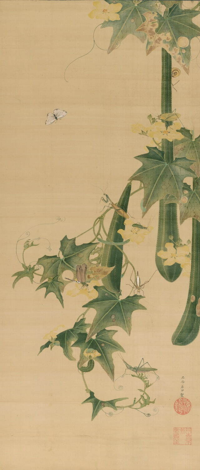 伊藤若冲 《糸瓜群虫図》 江戸時代中期 細見美術館蔵