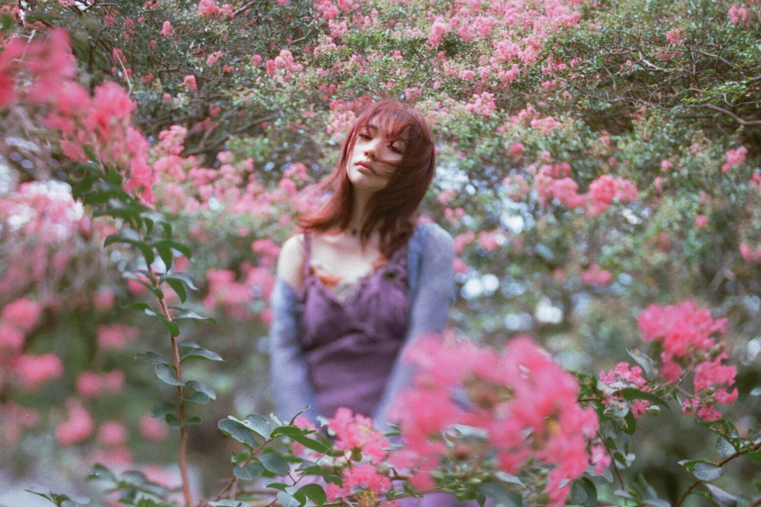 にしなの新曲「つくし」主演・山田杏奈のドラマ「リラの花咲くけものみち」主題歌に