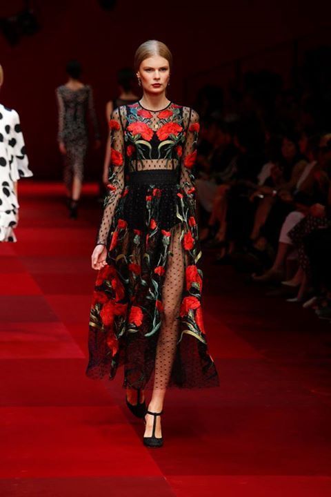 ドルチェ＆ガッバーナ 2015年春夏<span>コレクション</span> - 写真72