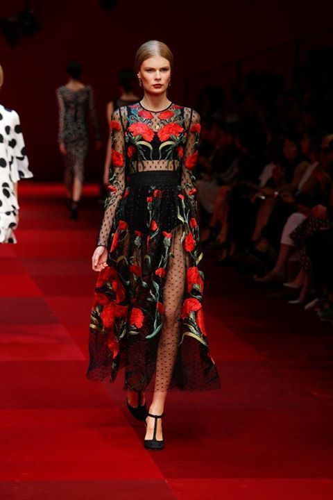 ドルチェ＆ガッバーナ(DOLCE&GABBANA) 2015年春夏ウィメンズコレクション  - 写真72