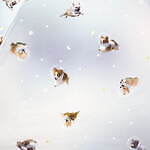 Wpc.“飛行犬”コラボの折りたたみ日傘、宇宙を飛び回るチワワや柴犬などをプリント｜写真2