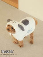 ジェラート ピケ(gelato pique) ピーナッツ｜写真26