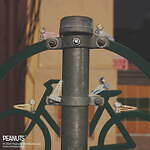 ジェラート ピケ(gelato pique) ピーナッツ｜写真20