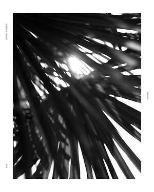 フィーニー(PHEENY) 2025年春夏ウィメンズコレクション  - 写真7