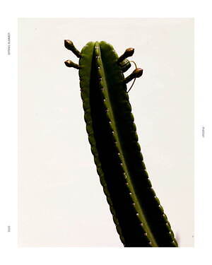 フィーニー(PHEENY) 2025年春夏ウィメンズコレクション  - 写真18