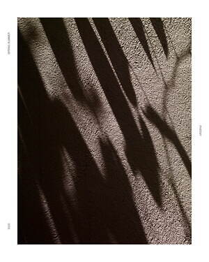 フィーニー(PHEENY) 2025年春夏ウィメンズコレクション  - 写真20