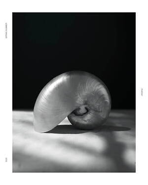 フィーニー(PHEENY) 2025年春夏ウィメンズコレクション  - 写真27