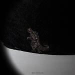 カシラ×ゴジラの"刺繍加工"ハット、ゴジラの質感再現したジャカード素材で｜写真9