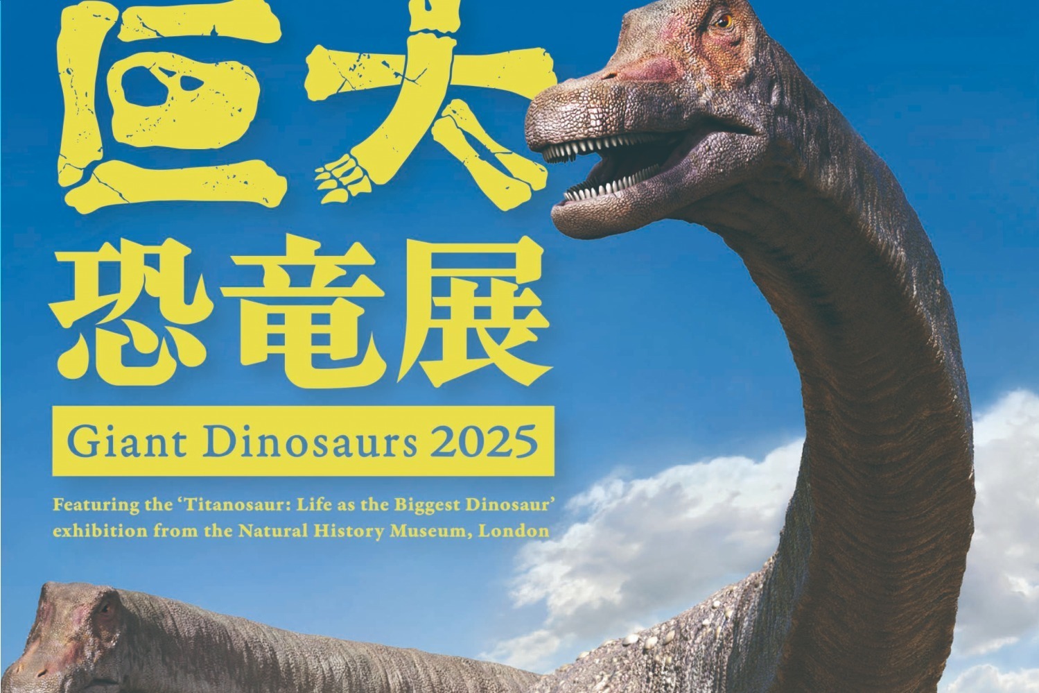 ATCホール: 2025年7月下旬〜2025年8月下旬開催