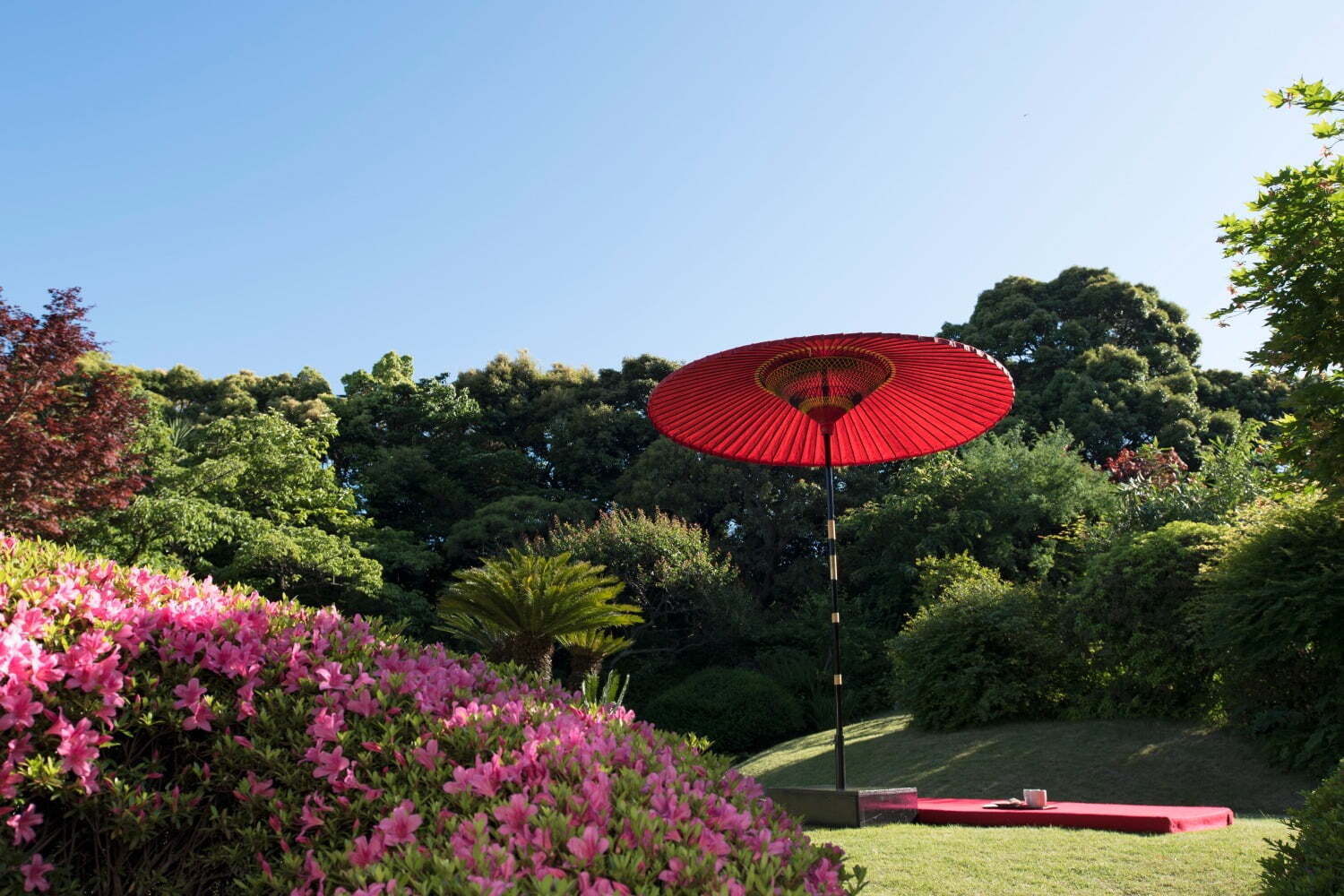 日本庭園｜星野リゾートの温泉旅館「界 伊東」で花見イベント、フジやアジサイが咲く庭園散策＆提灯づくり体験
