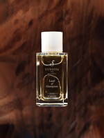 フエギア 1833(FUEGUIA 1833) FIFAワールドカップ｜写真2