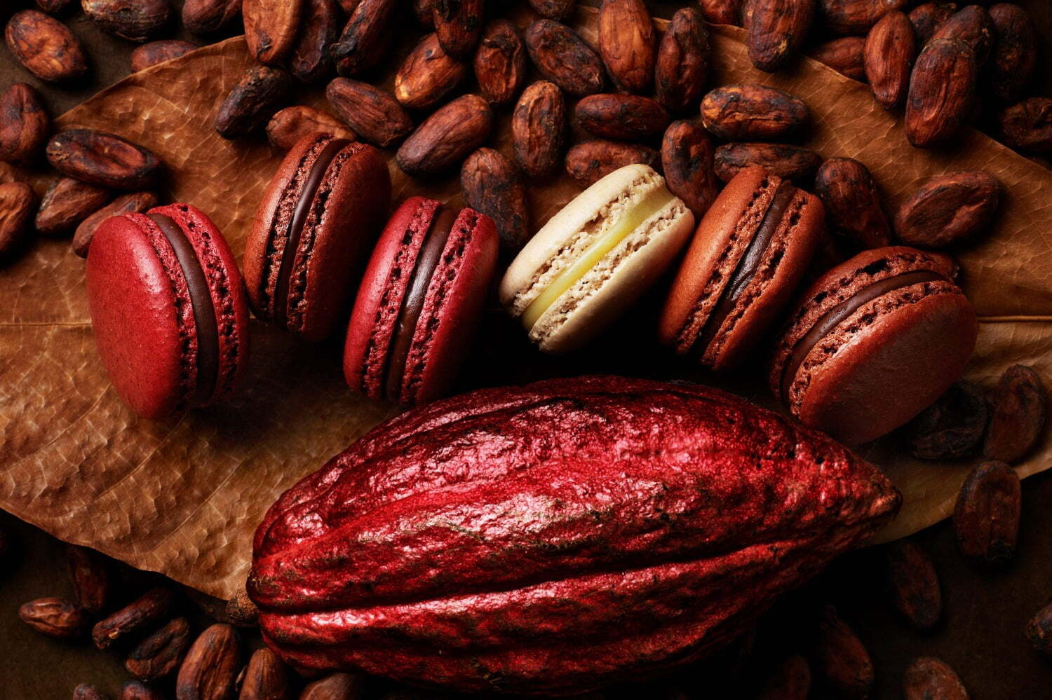 パティシエ エス コヤマの25年バレンタイン、“産地別カカオ”を食べ比べできるマカロンアソート